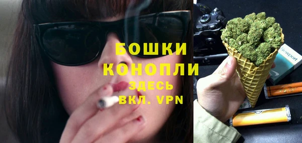 прущие грибы Баксан