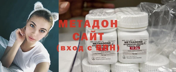 прущие грибы Баксан