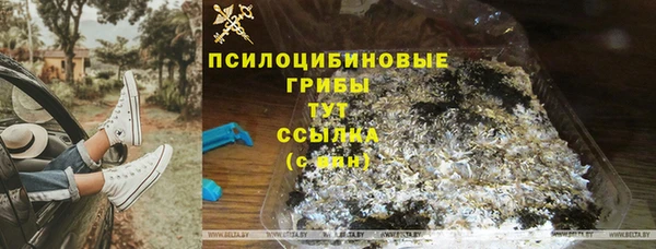 мдпв Балахна