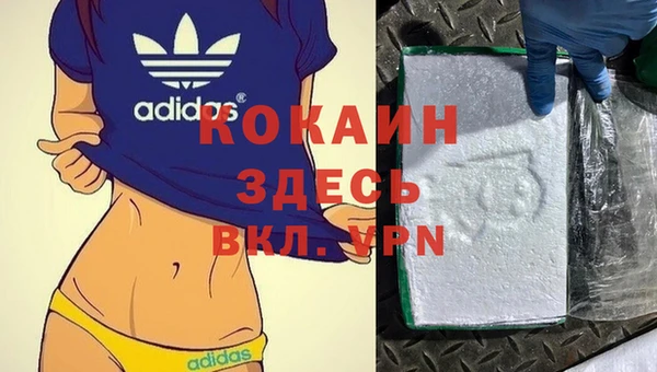 прущие грибы Баксан