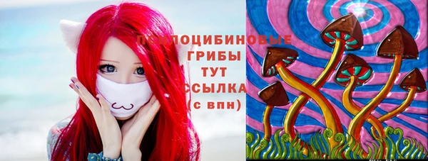 прущие грибы Баксан